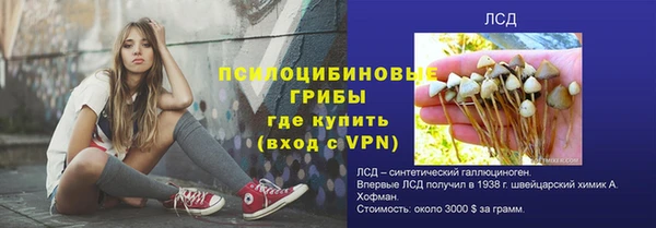 прущие крисы Балахна